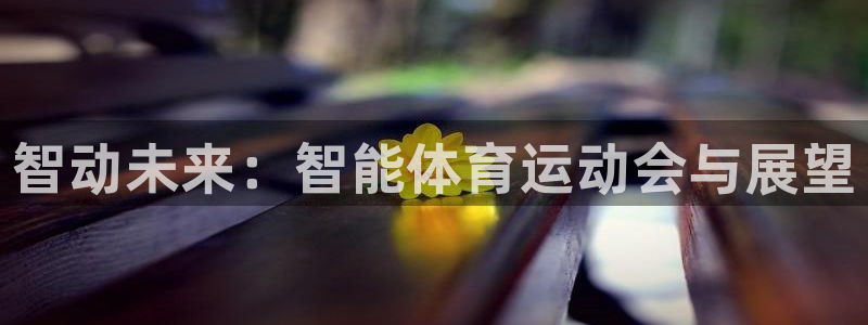 b体育必一运动官网：智动未来：智能体育运动会与展望