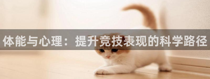 必一运动bsport体育：体能与心理：提升竞技表现的科学路径