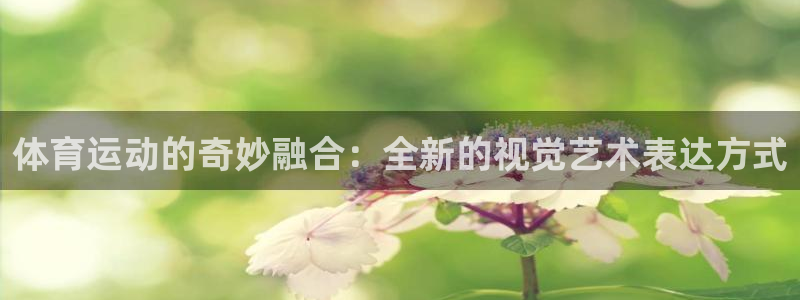 必一运动：体育运动的奇妙融合：全新的视觉艺术表达方式