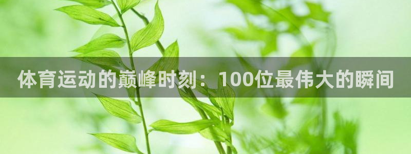 必一运动体育官网入口：体育运动的巅峰时刻：100位最伟大的瞬间