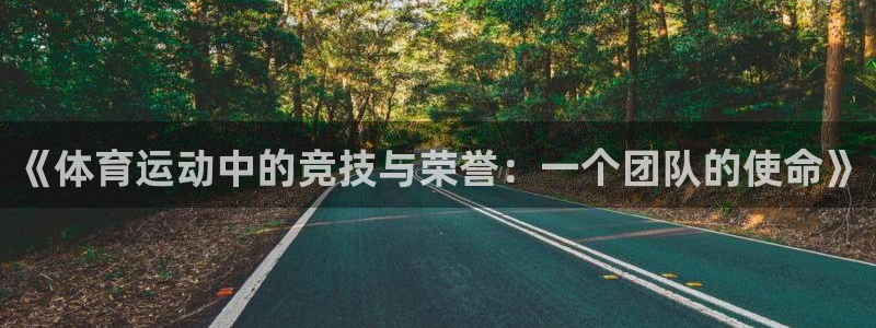 必一运动官网：《体育运动中的竞技与荣誉：一个团队的使命》