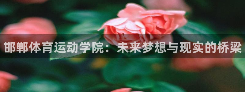 必一运动：邯郸体育运动学院：未来梦想与现实的桥梁