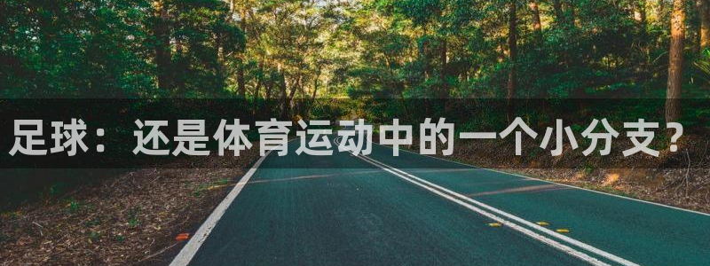 b体育必一运动官网：足球：还是体育运动中的一个小分支？