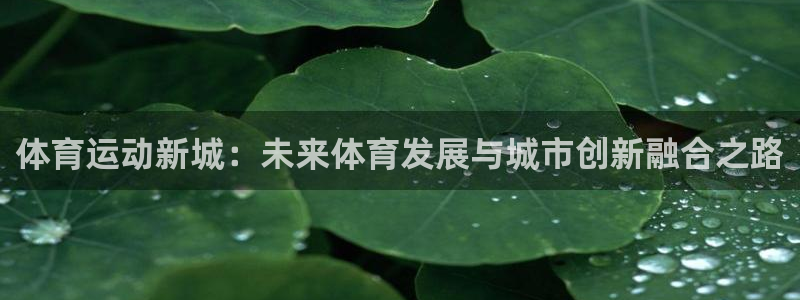 必一运动：体育运动新城：未来体育发展与城市创新融合之路
