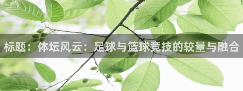 必一运动官网入口：标题：体坛风云：足球与篮球竞技的较量与融合